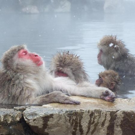 外国人専用の มิตรภาพfriendship ゲストハウス Nagano Dış mekan fotoğraf