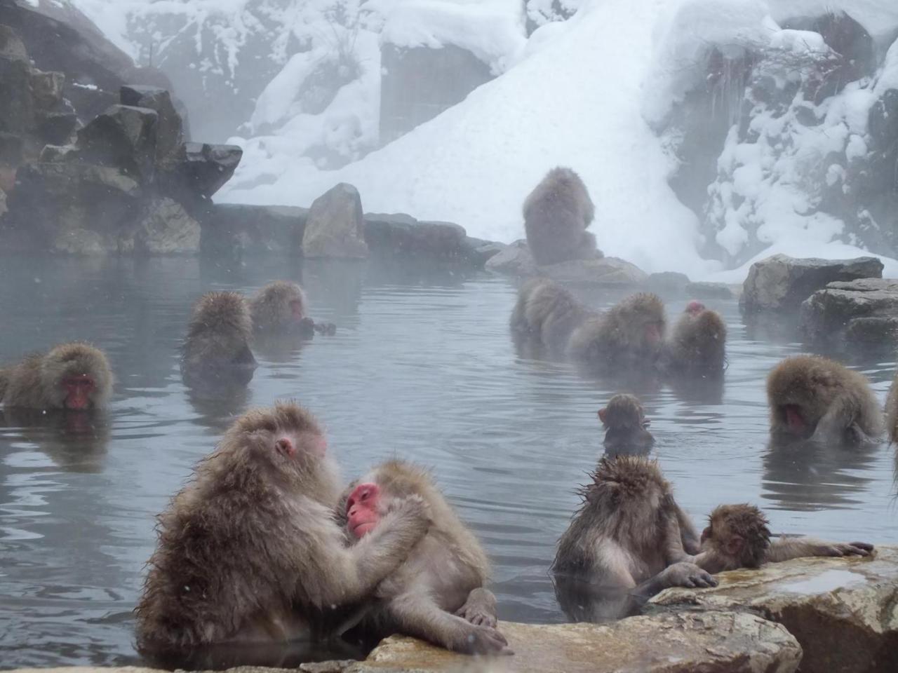 外国人専用の มิตรภาพfriendship ゲストハウス Nagano Dış mekan fotoğraf