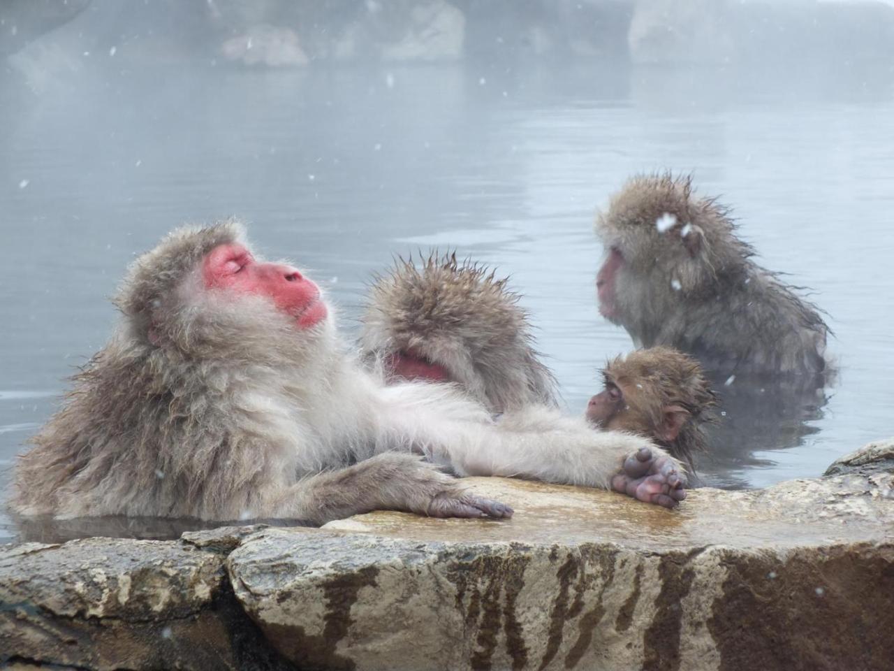 外国人専用の มิตรภาพfriendship ゲストハウス Nagano Dış mekan fotoğraf